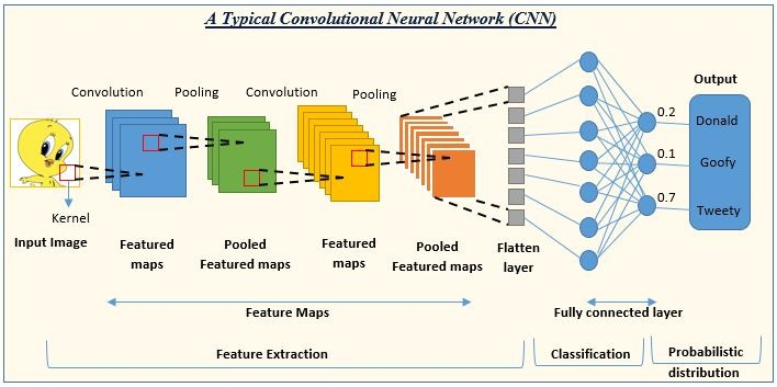 Instance Segmentation for Neurological Disease Research